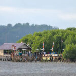 ekowisata mangrove lombok