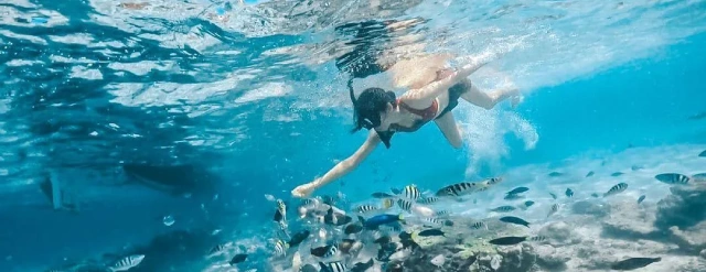 Snorkeling gili petelu Lombok